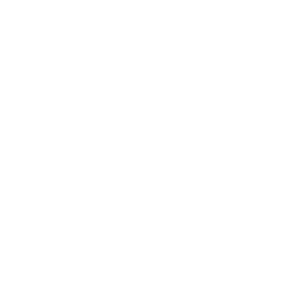 Brizna.org